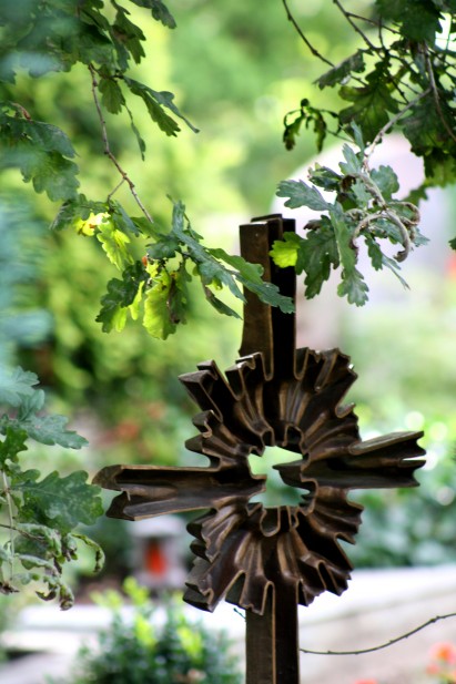Friedhof3